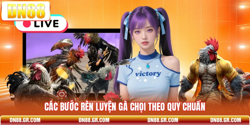 Các bước rèn luyện gà chọi theo quy chuẩn