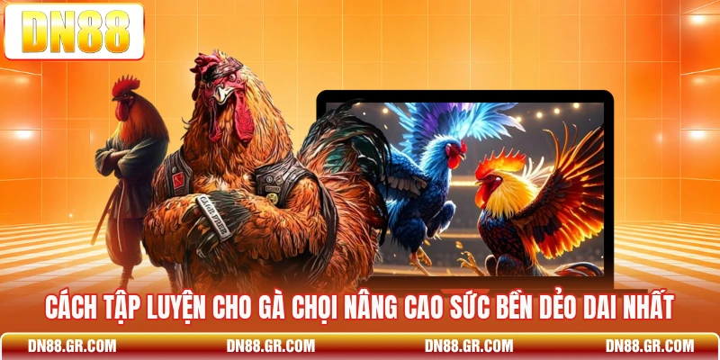 Cách Tập Luyện Cho Gà Chọi