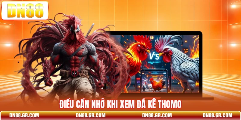 Điều cần nhớ khi xem đá kê Thomo