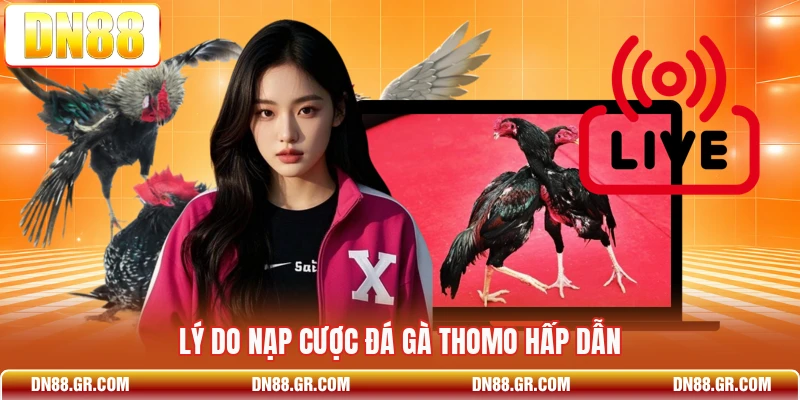 Lý do nạp cược đá gà Thomo hấp dẫn